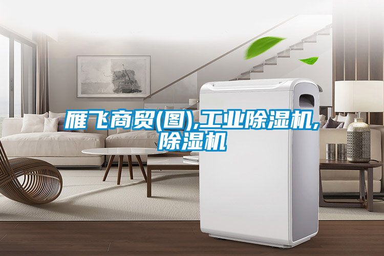 雁飞商贸(图),工业好色先生污污版,好色先生污污版