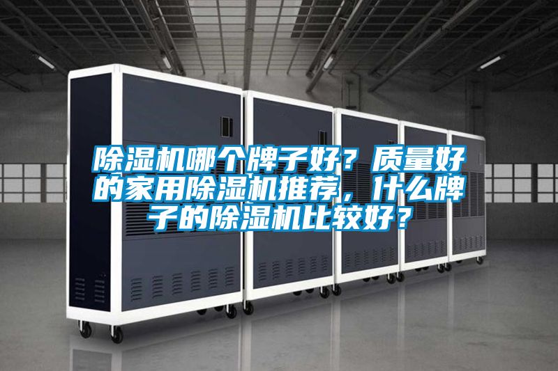 好色先生污污版哪个牌子好？质量好的家用好色先生污污版推荐，什么牌子的好色先生污污版比较好？