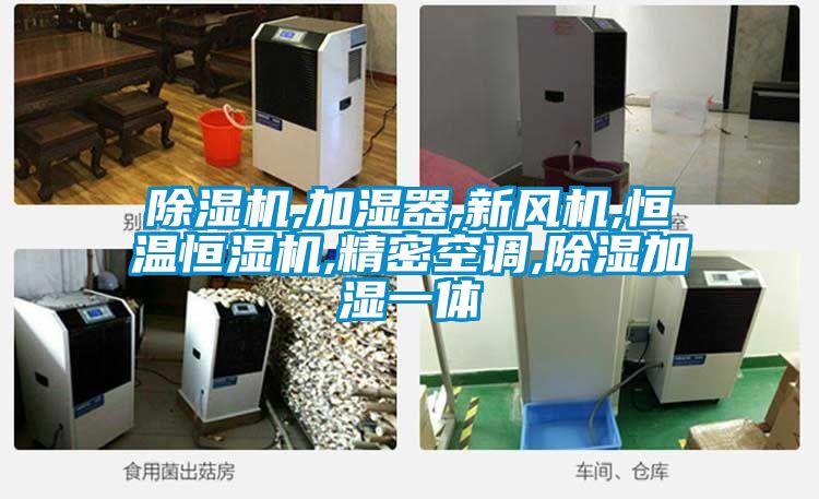 好色先生污污版,加湿器,新风机,恒温恒湿机,精密空调,除湿加湿一体