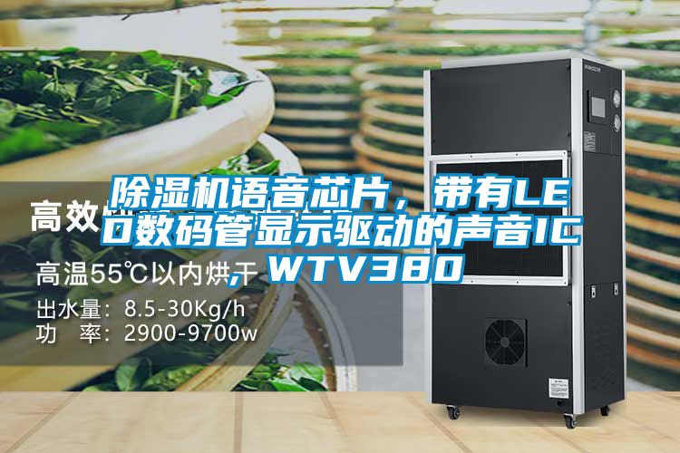 好色先生污污版语音芯片，带有LED数码管显示驱动的声音IC，WTV380