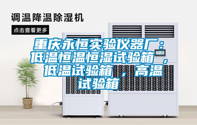 重庆永恒实验仪器厂：低温恒温恒湿试验箱 , 低温试验箱 , 高温试验箱