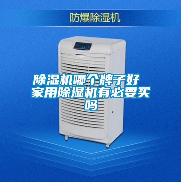 好色先生污污版哪个牌子好 家用好色先生污污版有必要买吗