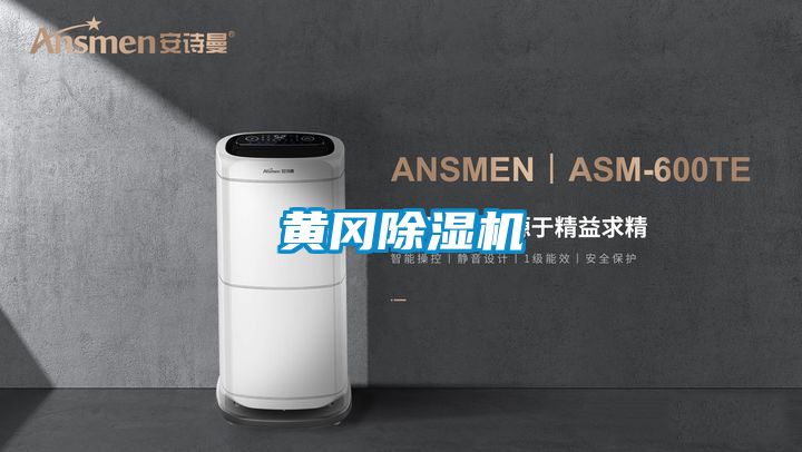 黄冈好色先生污污版