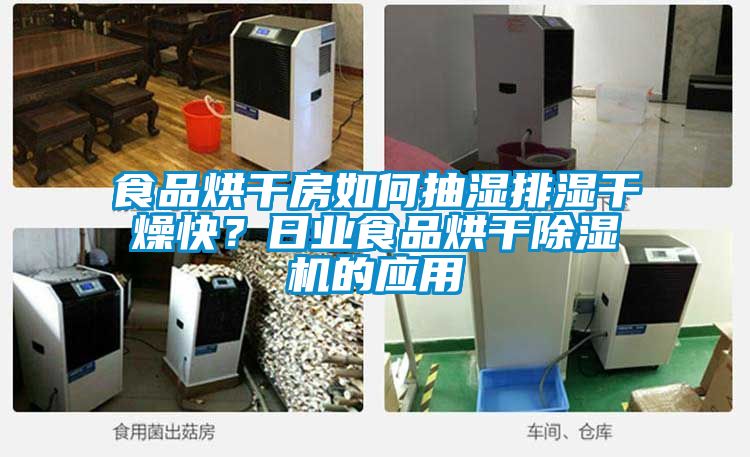 食品烘干房如何抽湿排湿干燥快？日业食品烘干好色先生污污版的应用