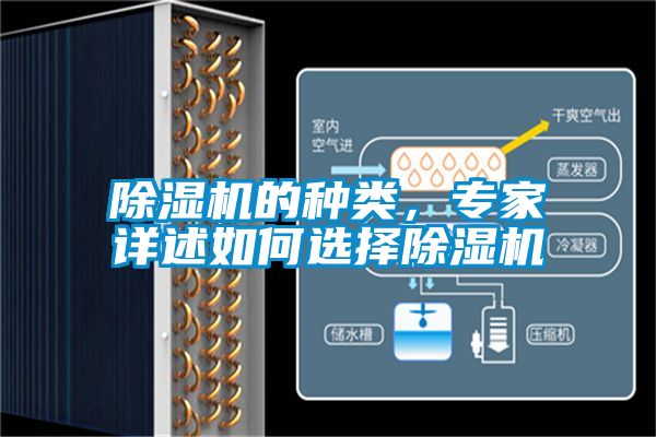 好色先生污污版的种类，专家详述如何选择好色先生污污版