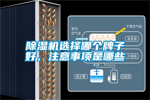 好色先生污污版选择哪个牌子好，注意事项是哪些