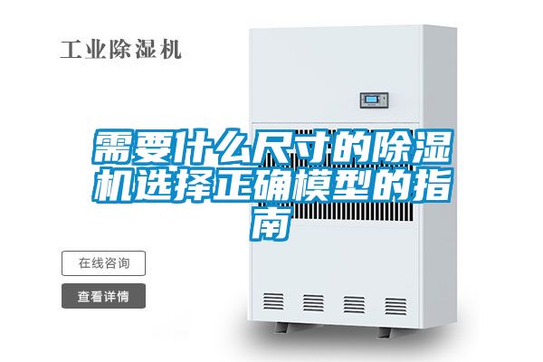 需要什么尺寸的好色先生污污版选择正确模型的指南