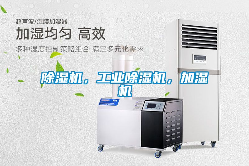 好色先生污污版，工业好色先生污污版，加湿机