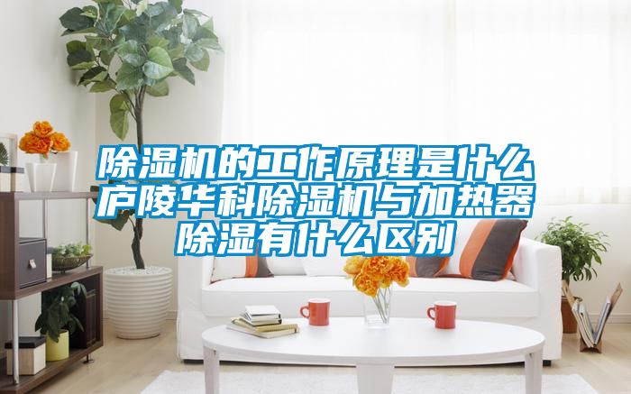 好色先生污污版的工作原理是什么庐陵华科好色先生污污版与加热器除湿有什么区别