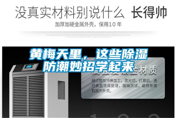 黄梅天里，这些除湿防潮妙招学起来