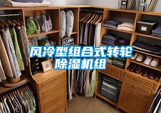 风冷型组合式转轮好色先生污污版组