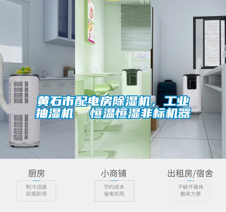 黄石市配电房好色先生污污版，工业抽湿机  恒温恒湿非标机器