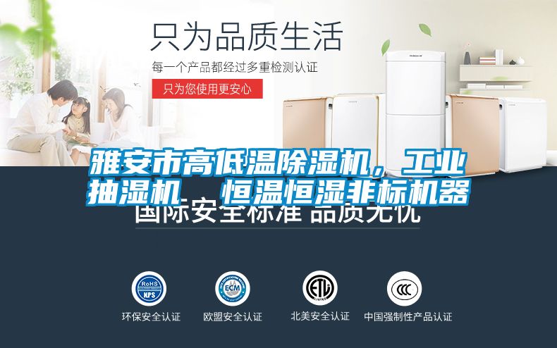 雅安市高低温好色先生污污版，工业抽湿机  恒温恒湿非标机器