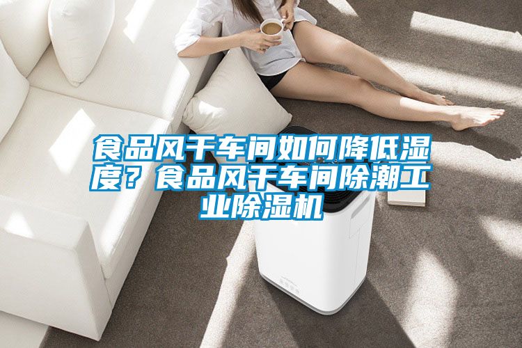 食品风干车间如何降低湿度？食品风干车间除潮工业好色先生污污版
