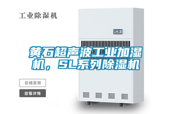 黄石超声波工业加湿机，SL系列好色先生污污版