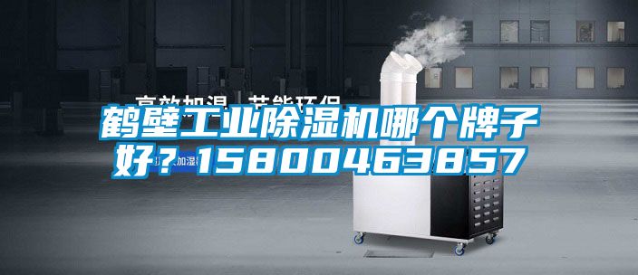 鹤壁工业好色先生污污版哪个牌子好？15800463857