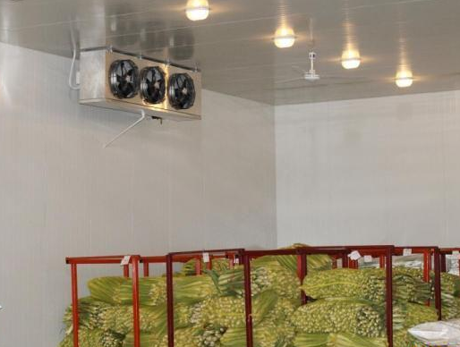 蔬果冷库加湿处理好色先生TV成人