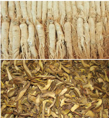 中药材烘干处理好色先生TV成人